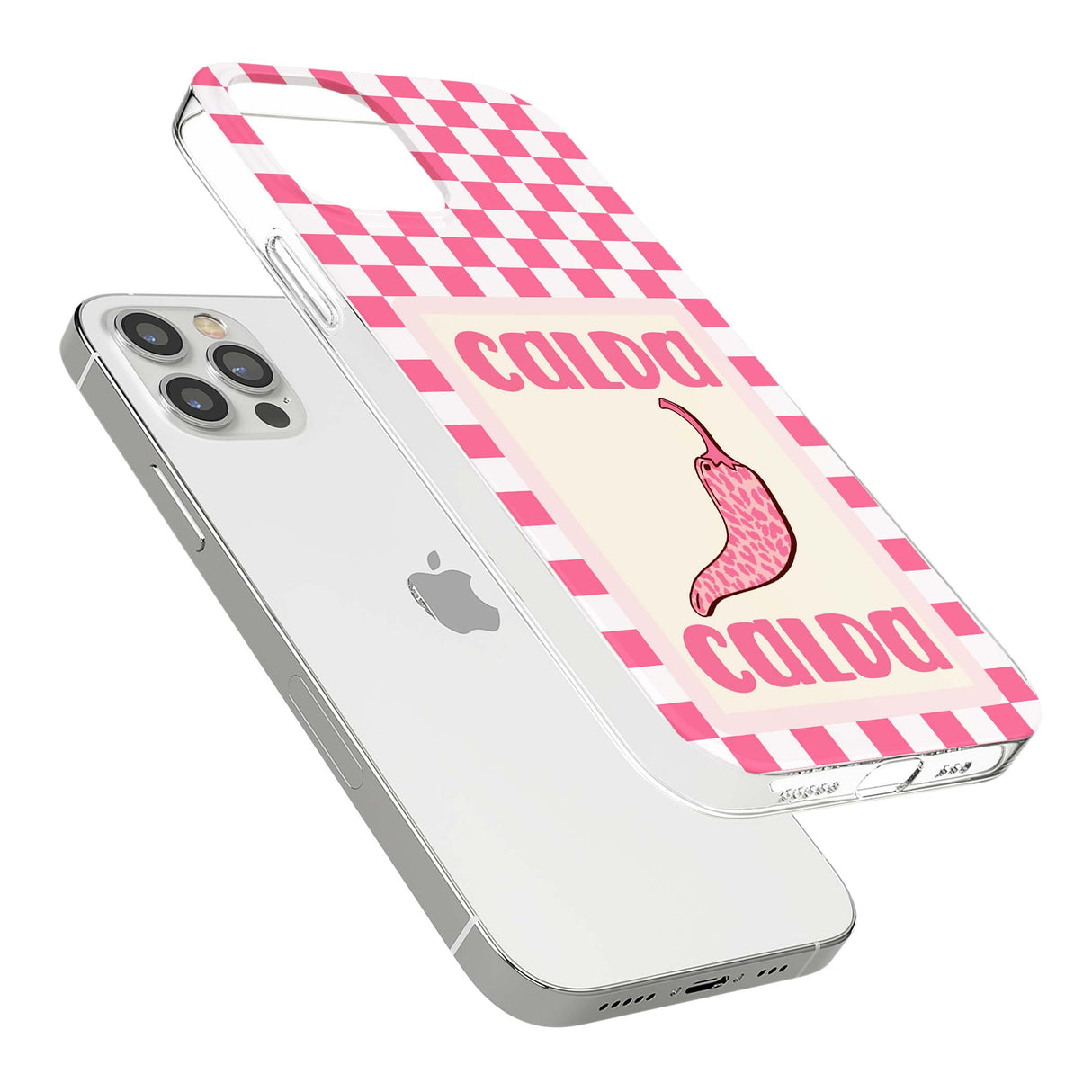CLEAR CASE