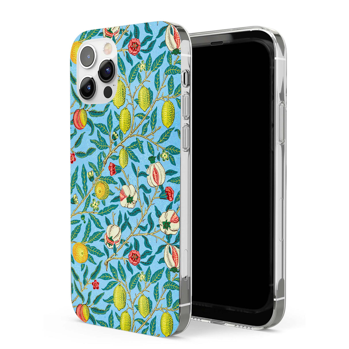 CLEAR CASE