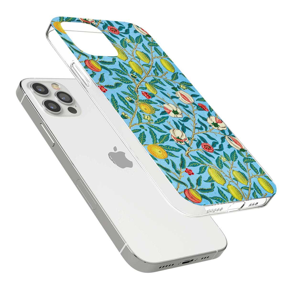 CLEAR CASE