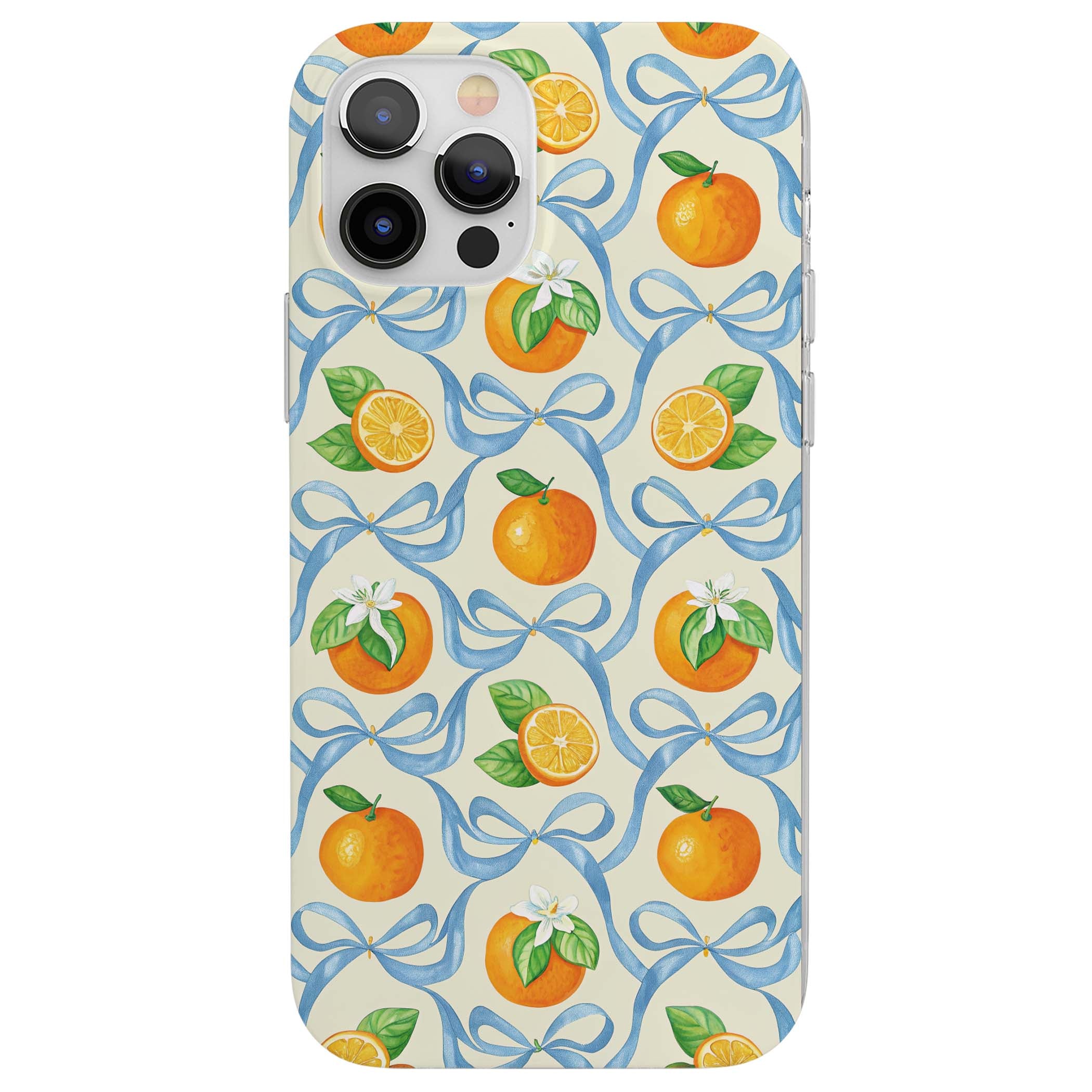 CLEAR CASE