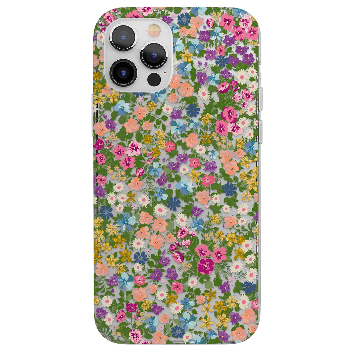 CLEAR CASE