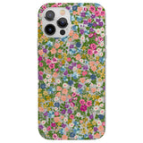 CLEAR CASE