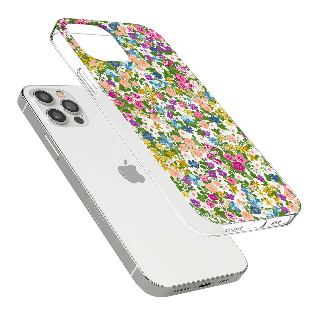 CLEAR CASE