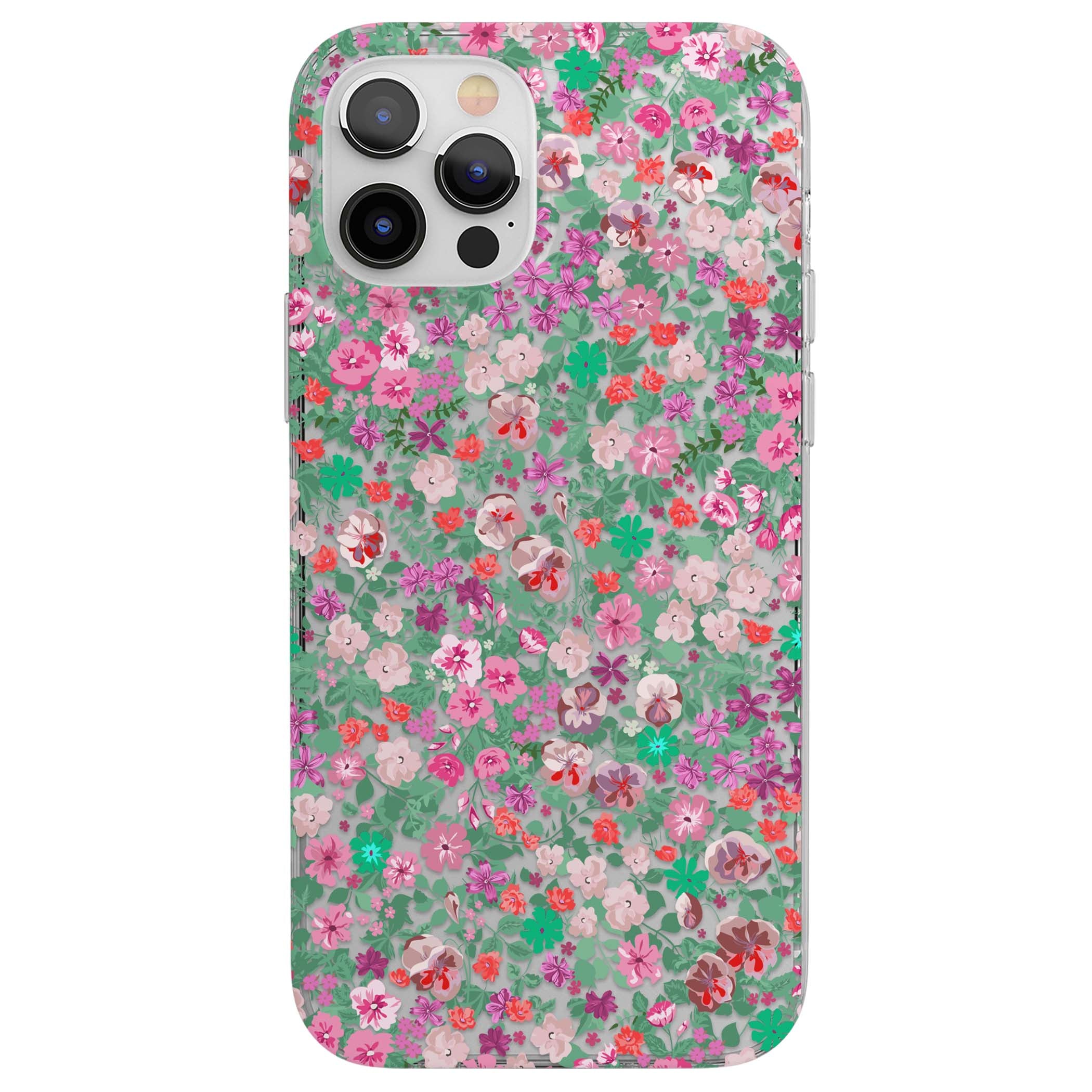 CLEAR CASE