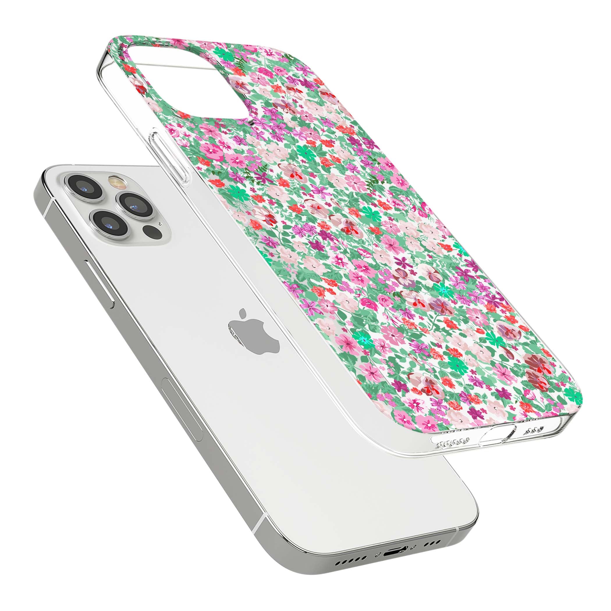 CLEAR CASE