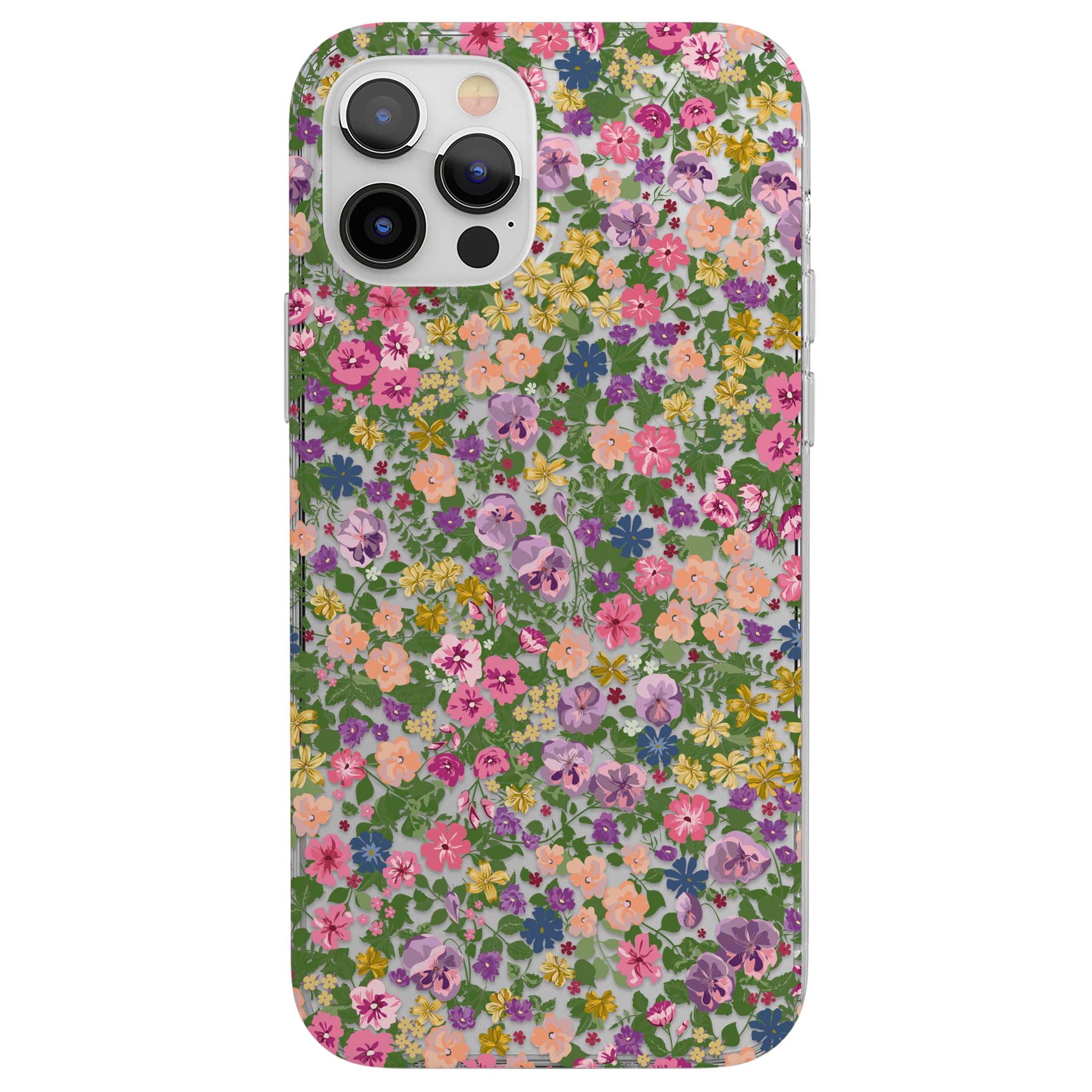 CLEAR CASE