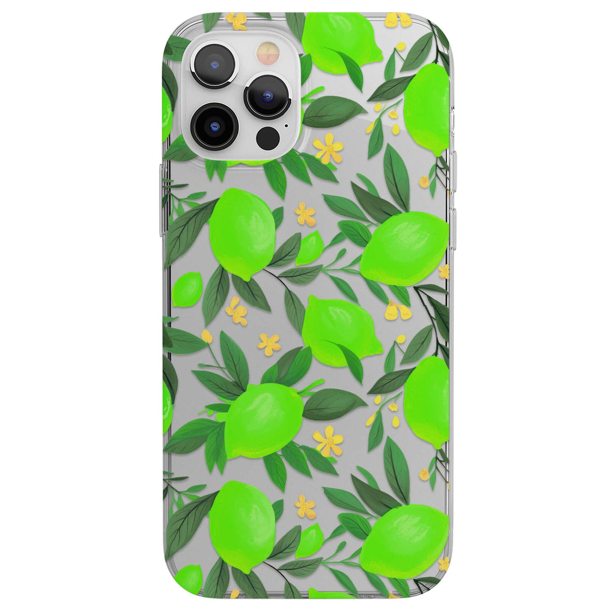 CLEAR CASE