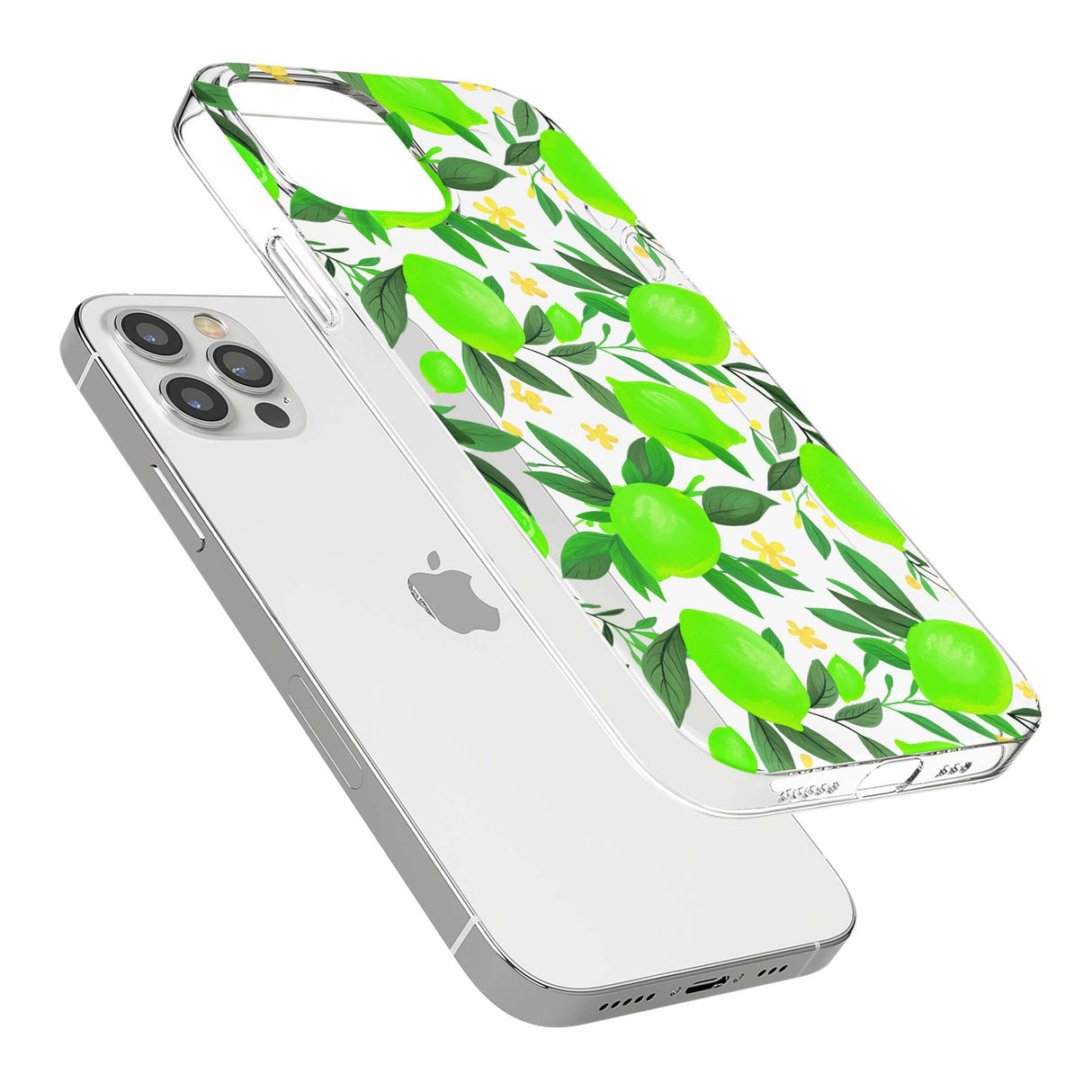 CLEAR CASE