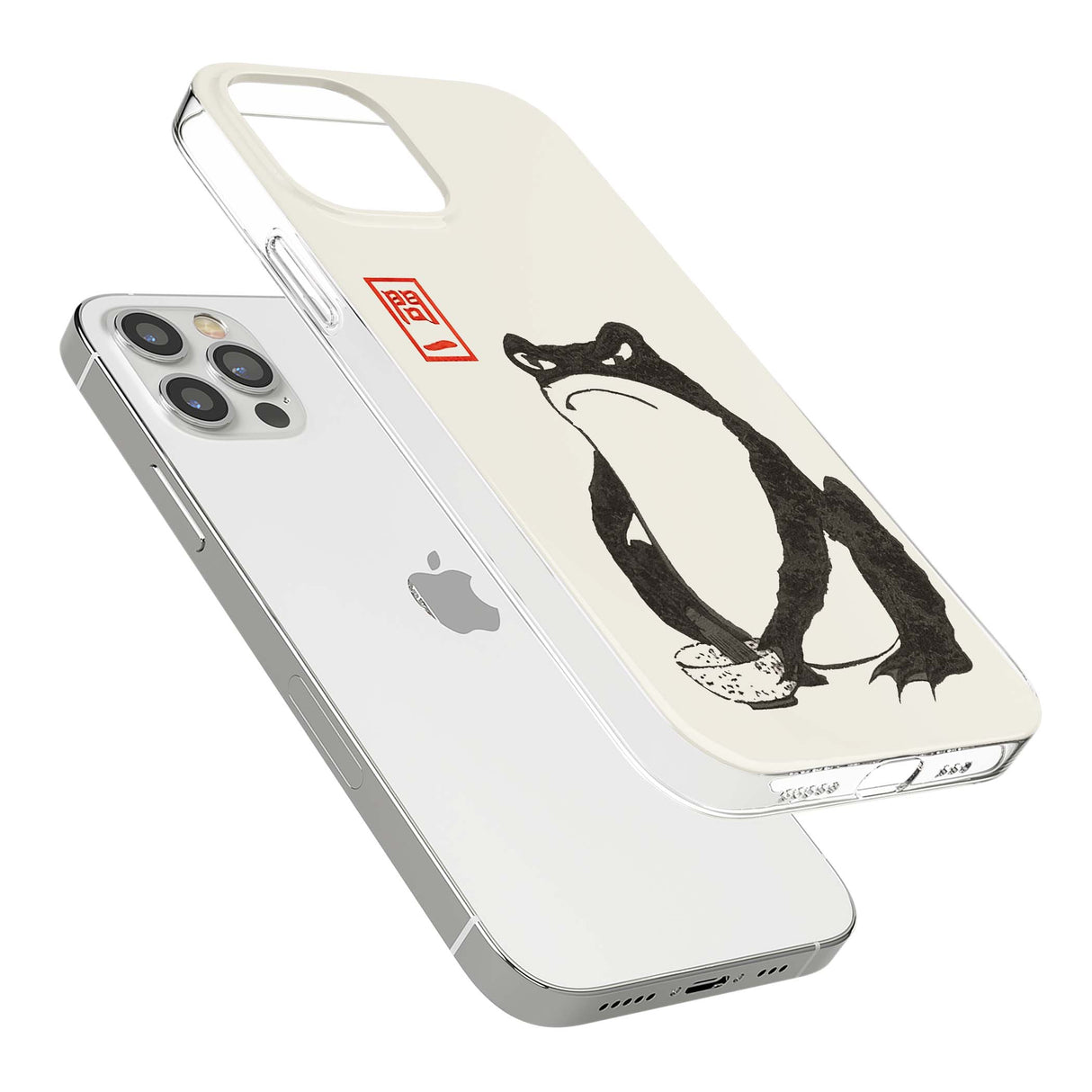 CLEAR CASE