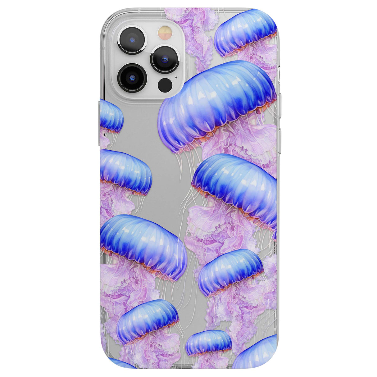 CLEAR CASE