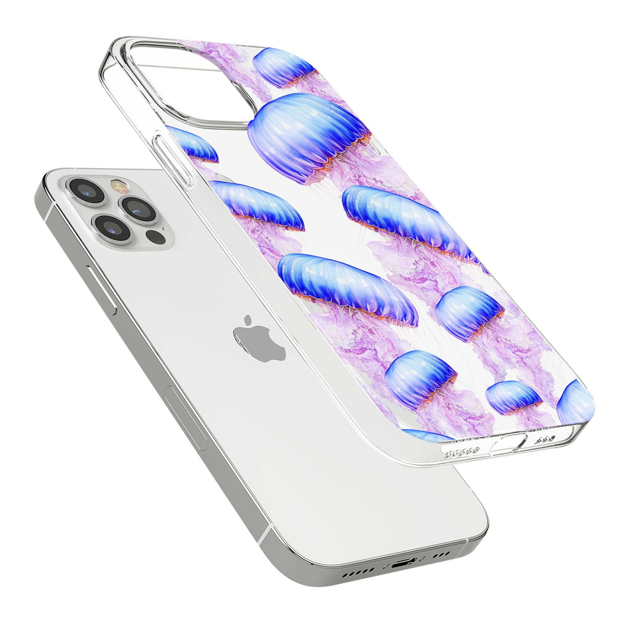 CLEAR CASE