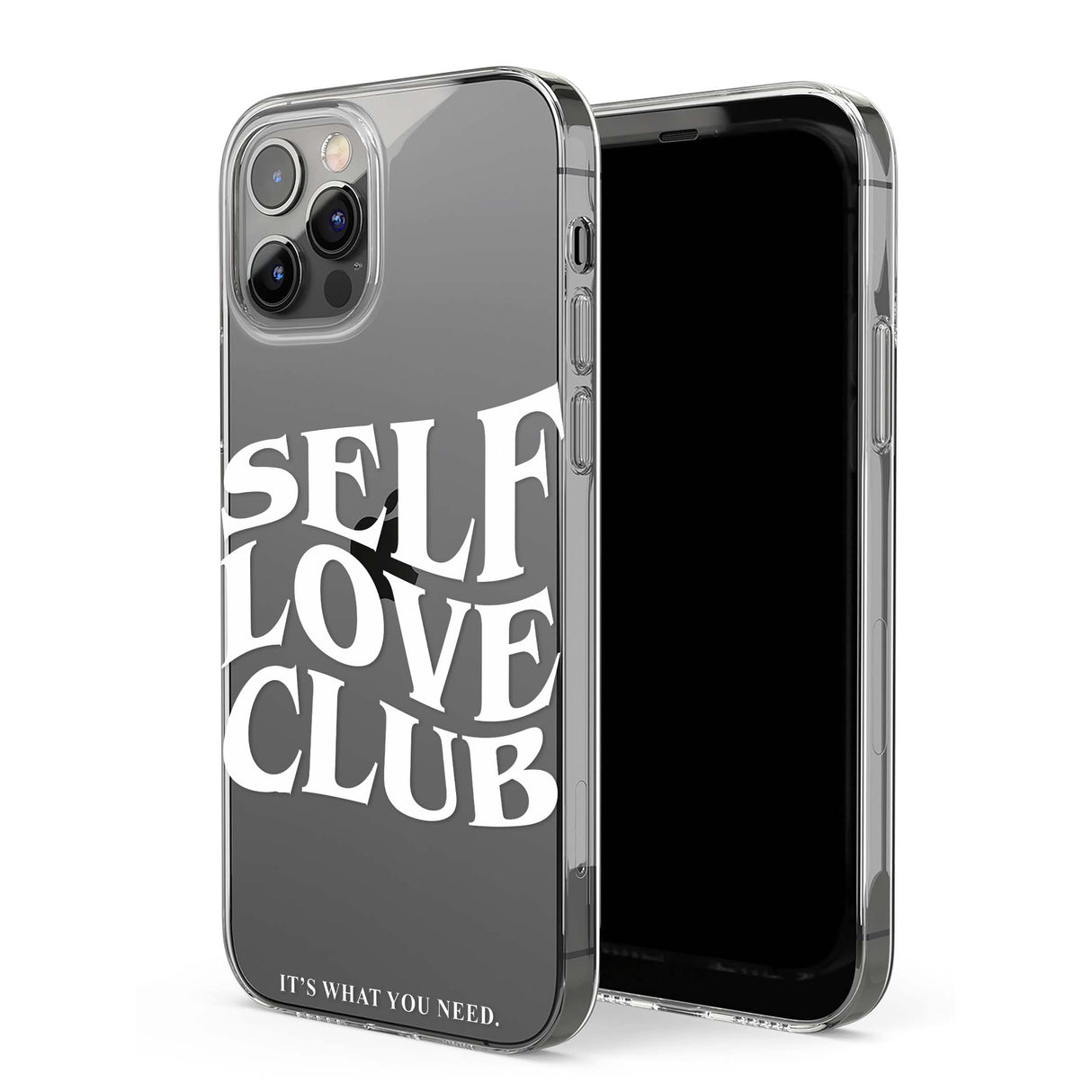 CLEAR CASE
