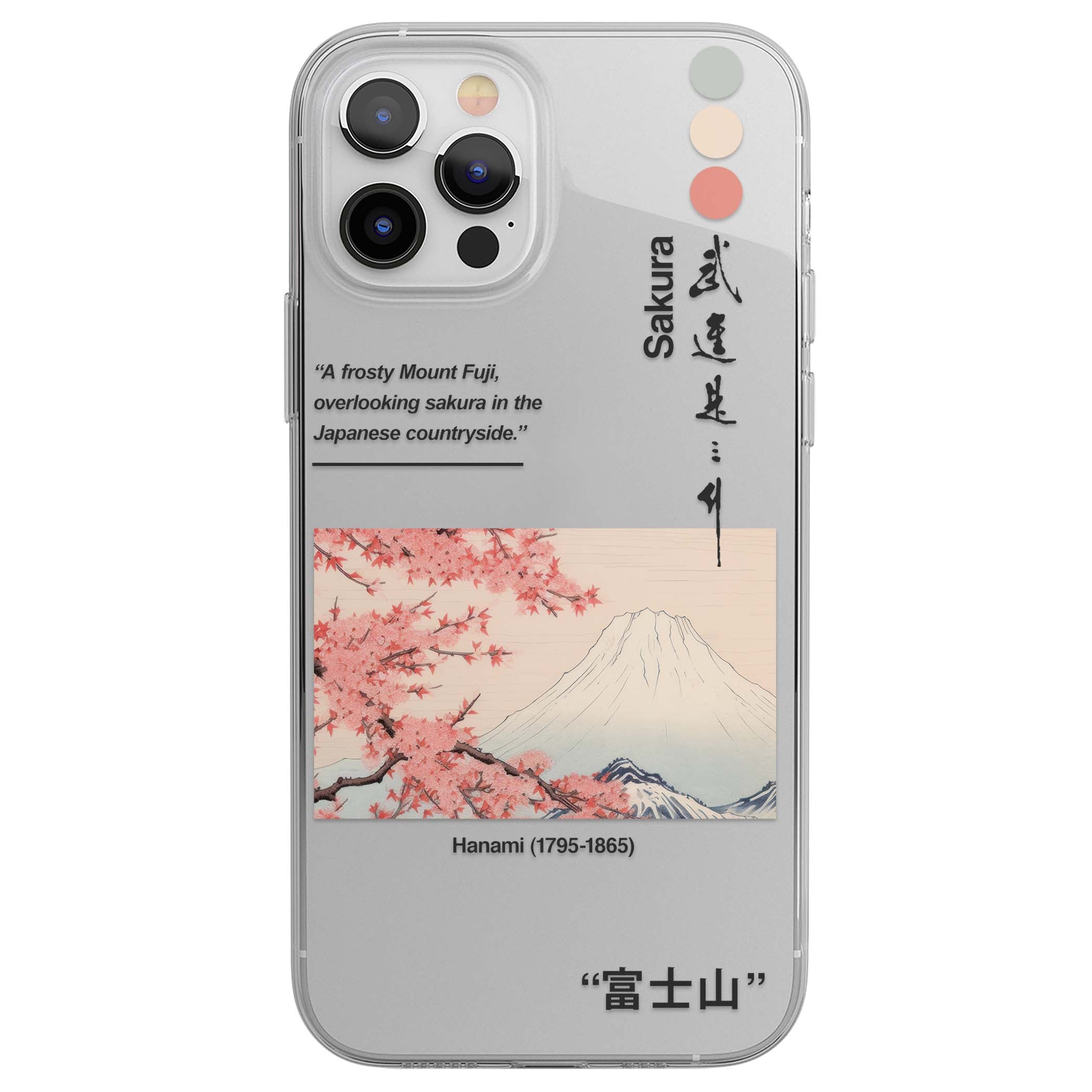 CLEAR CASE
