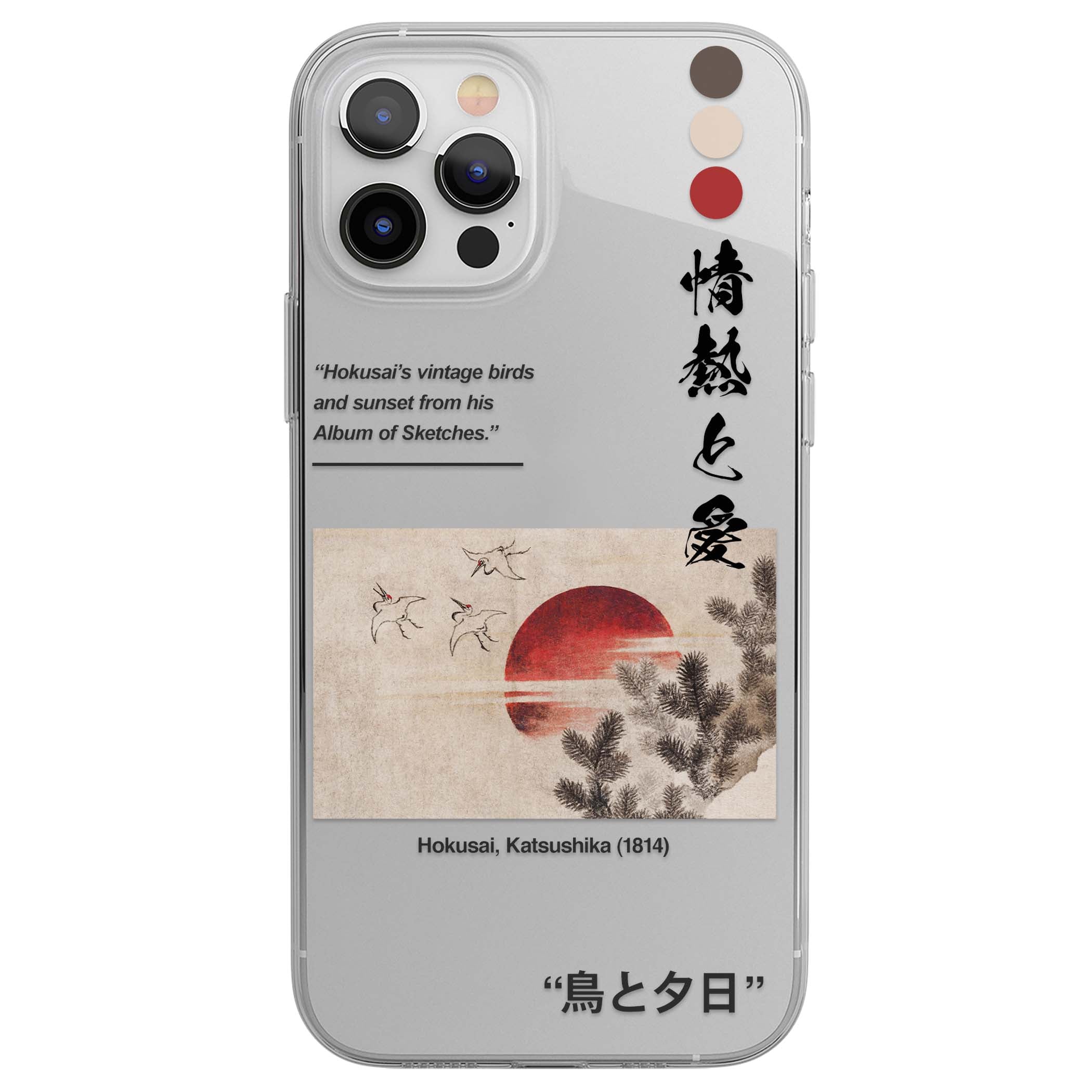 CLEAR CASE