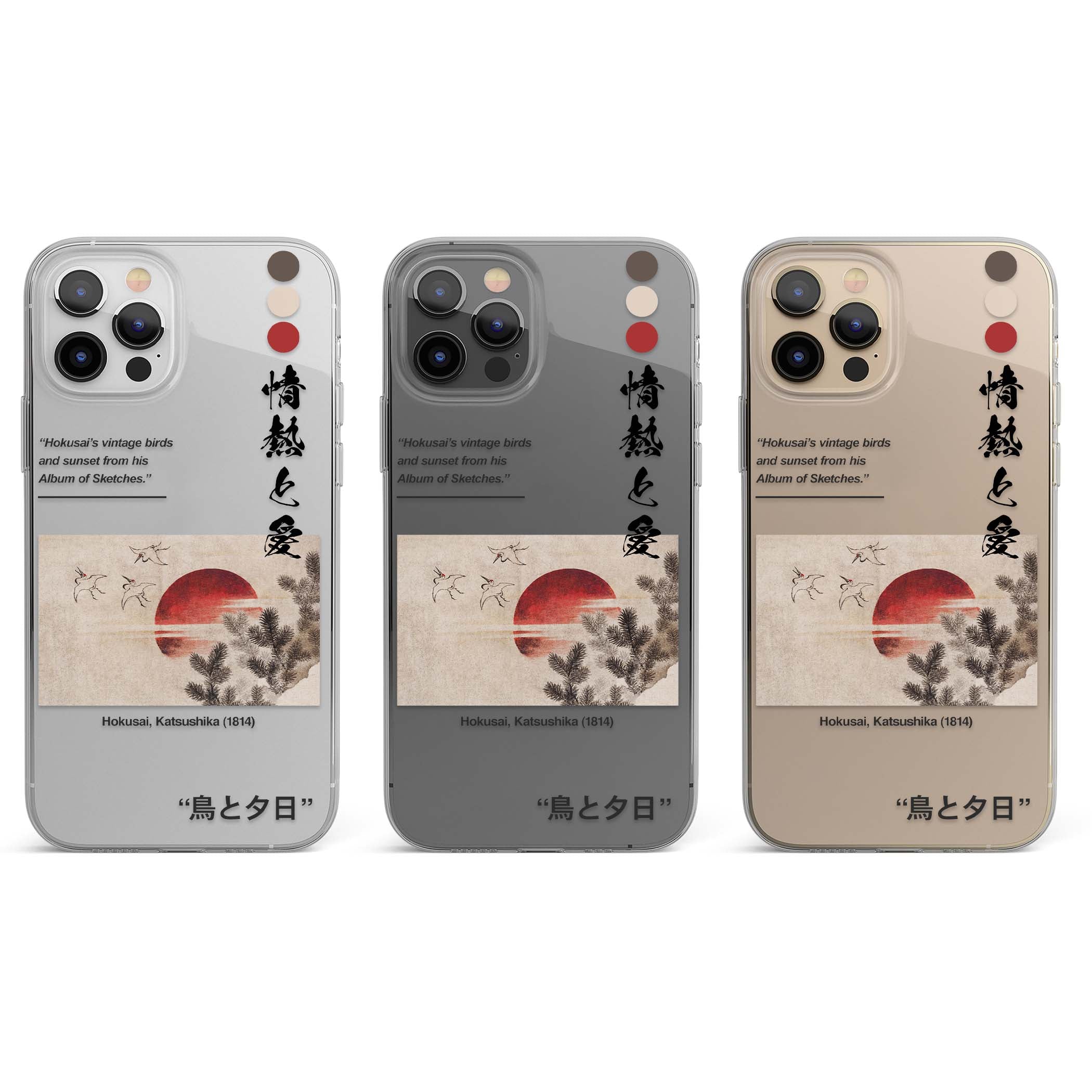 CLEAR CASE