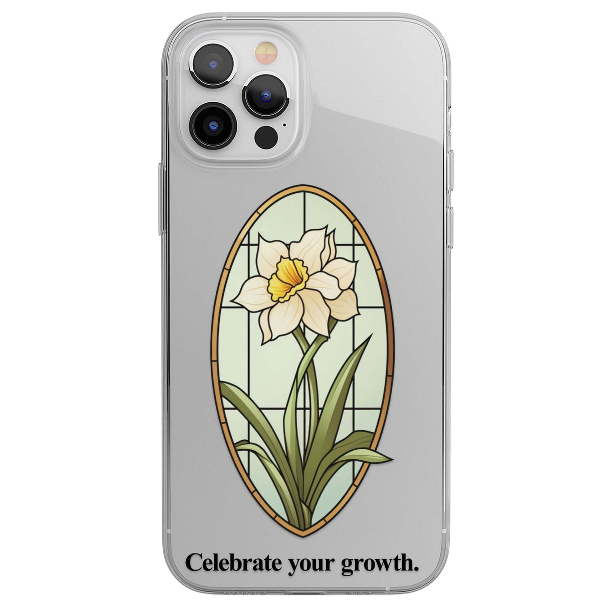 CLEAR CASE