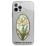 CLEAR CASE