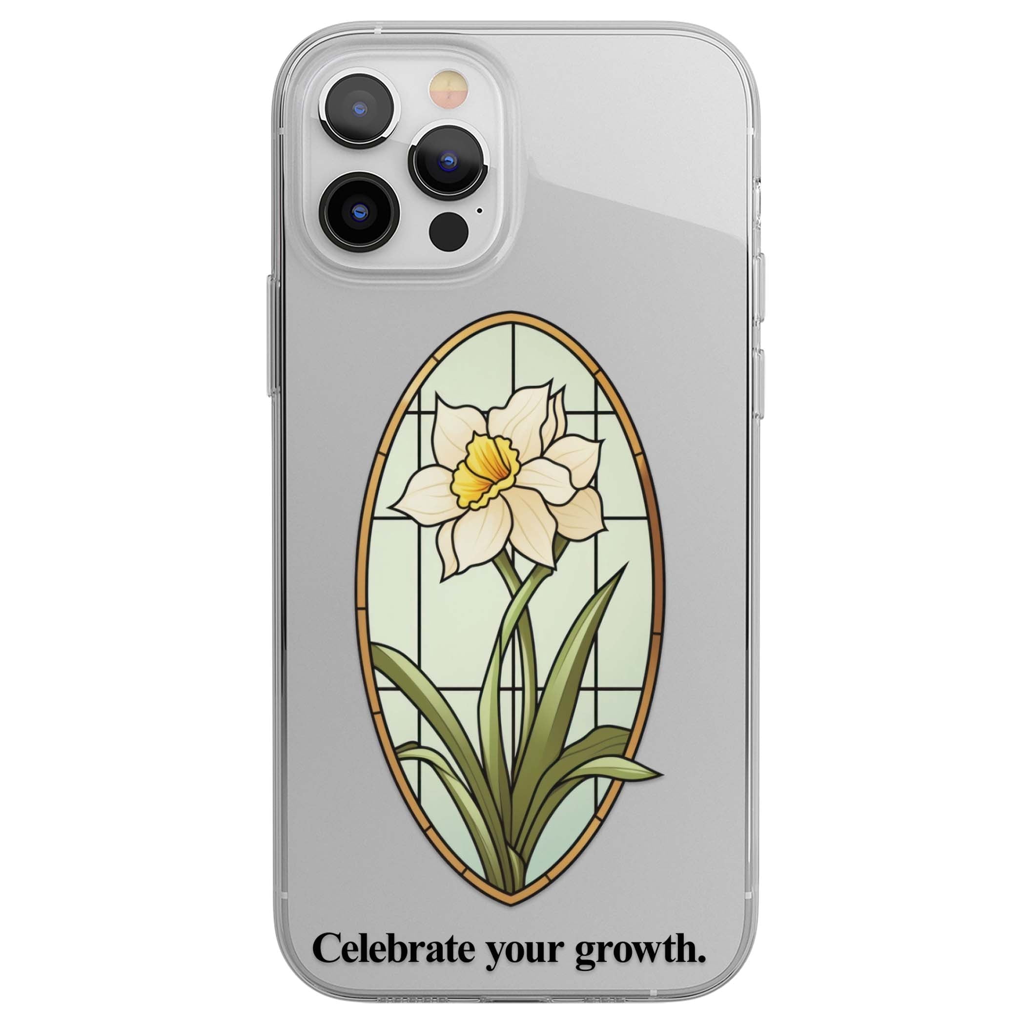 CLEAR CASE