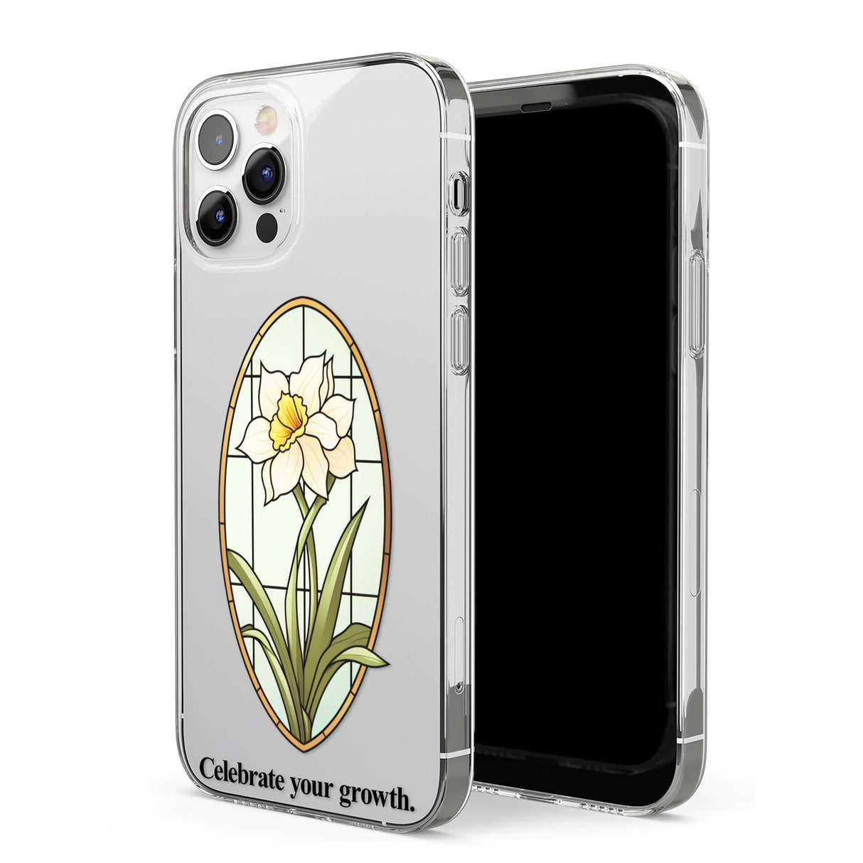 CLEAR CASE