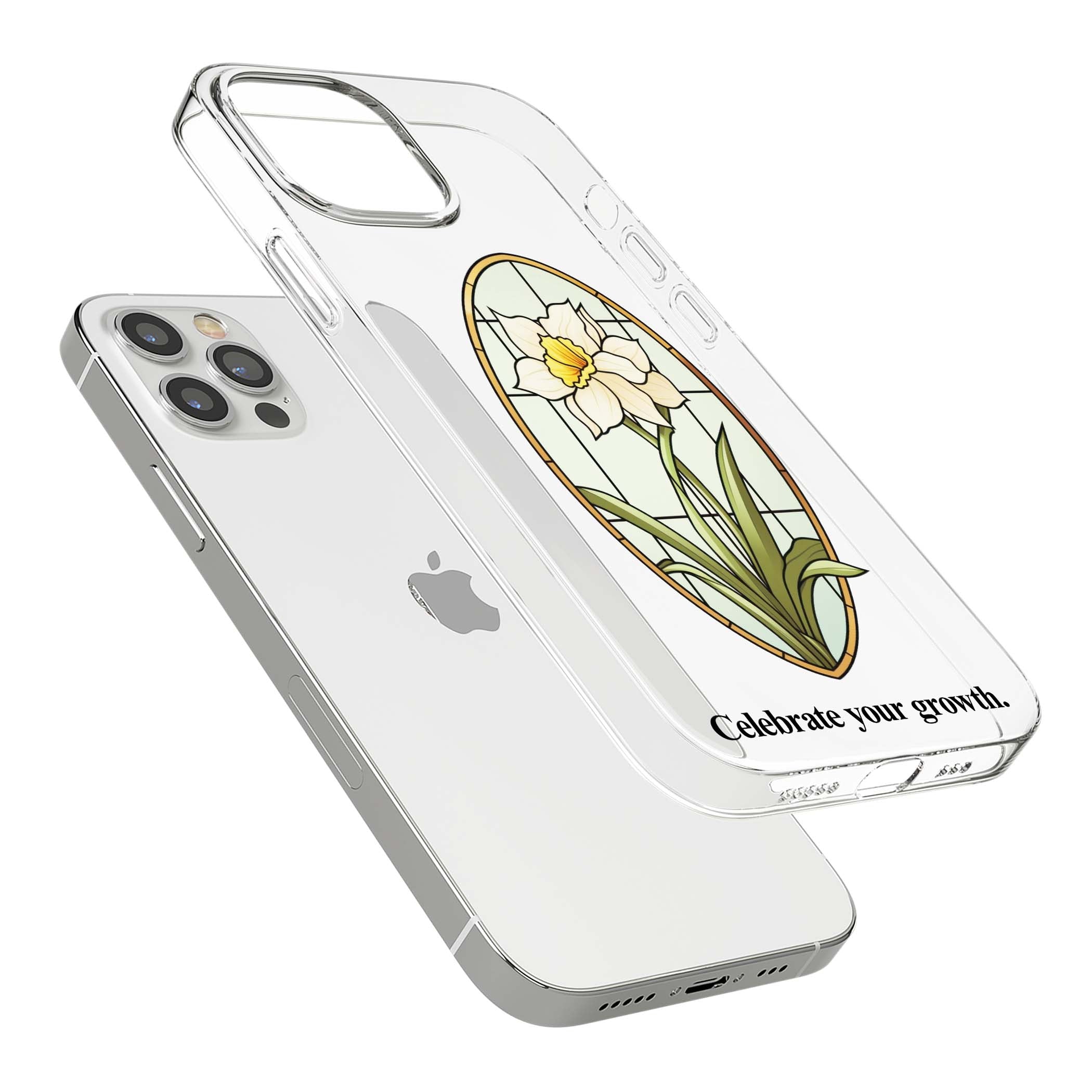 CLEAR CASE