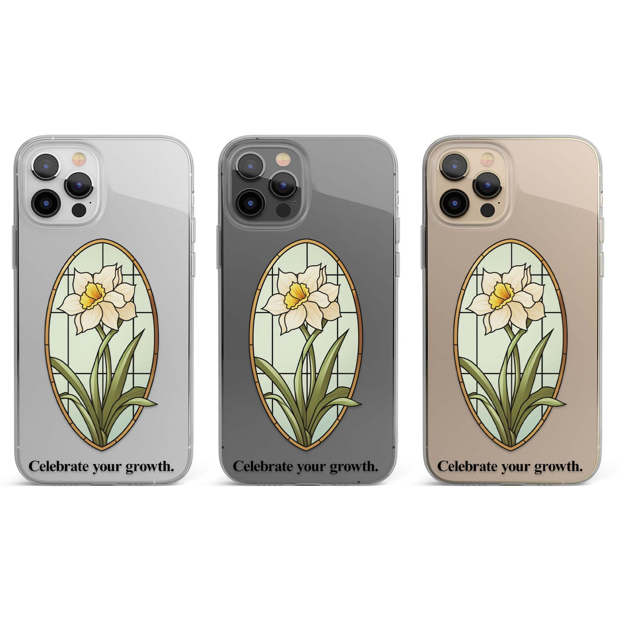 CLEAR CASE