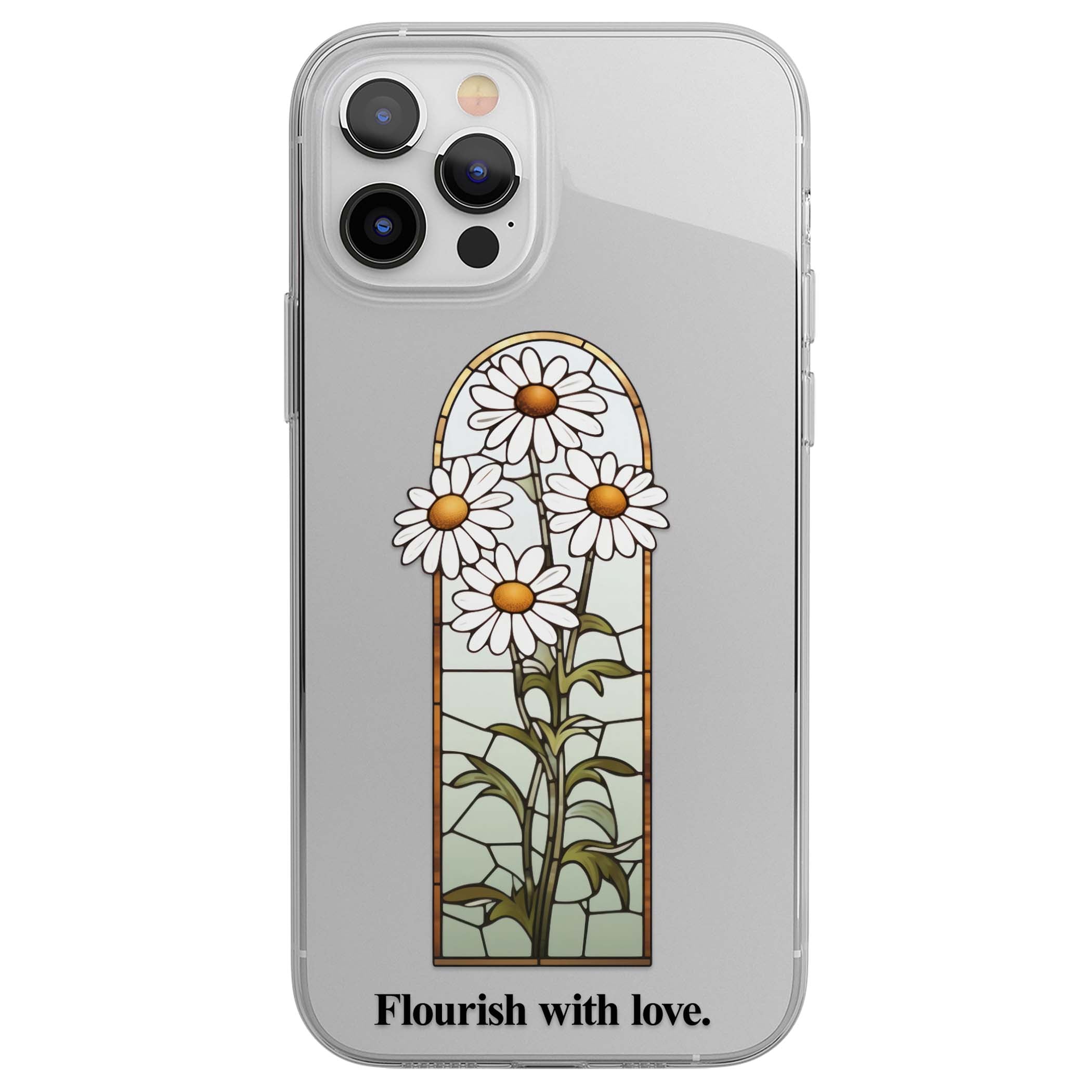CLEAR CASE