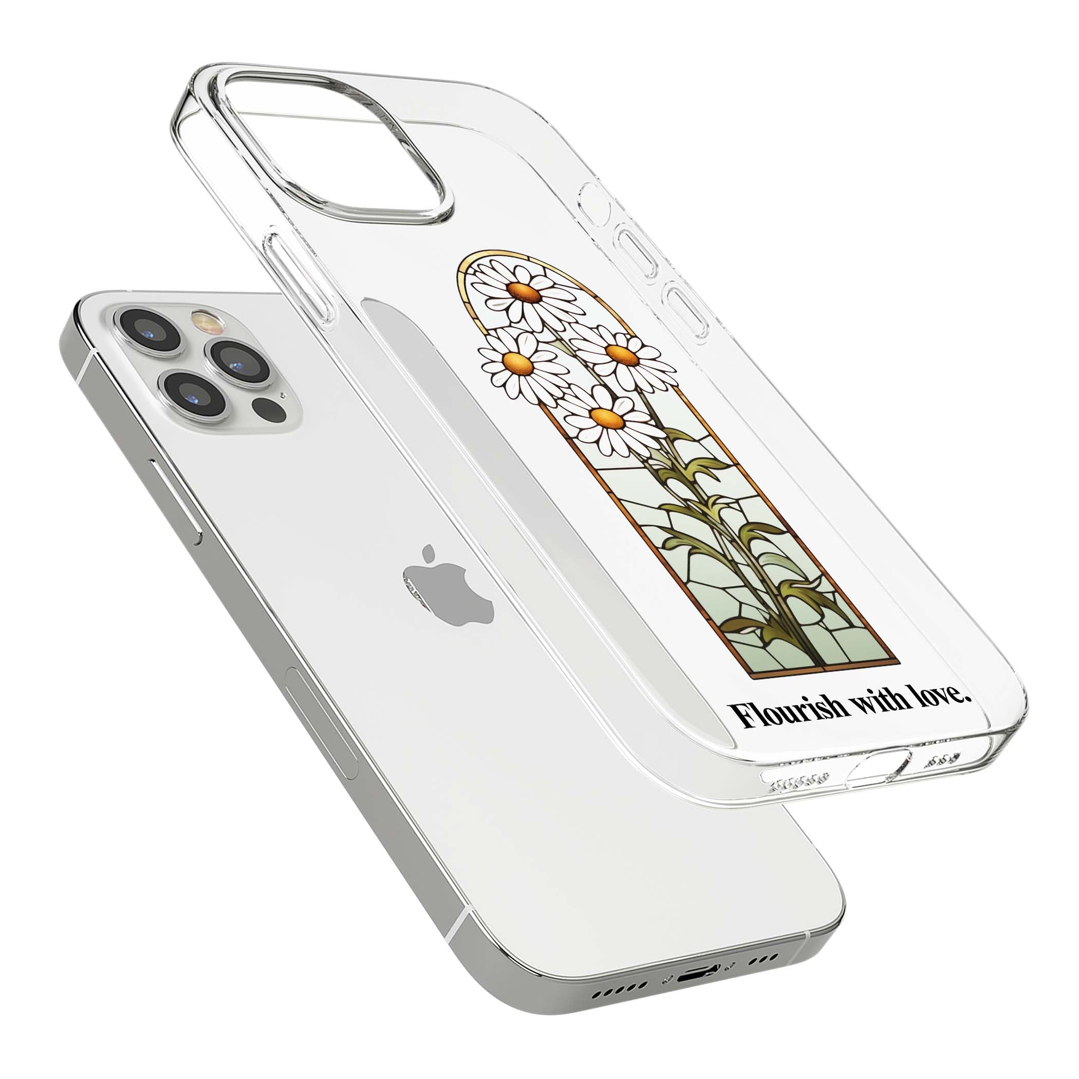 CLEAR CASE