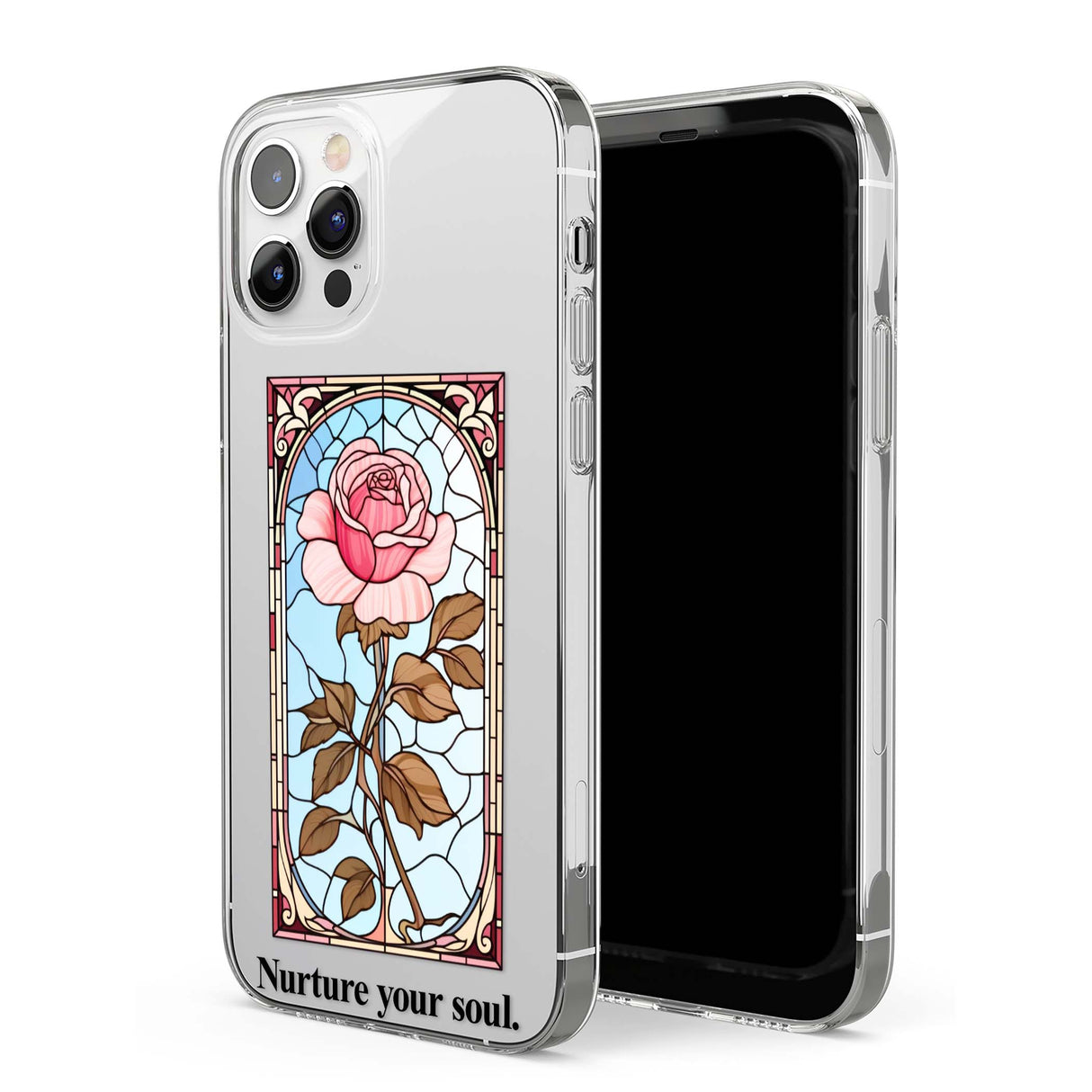 CLEAR CASE