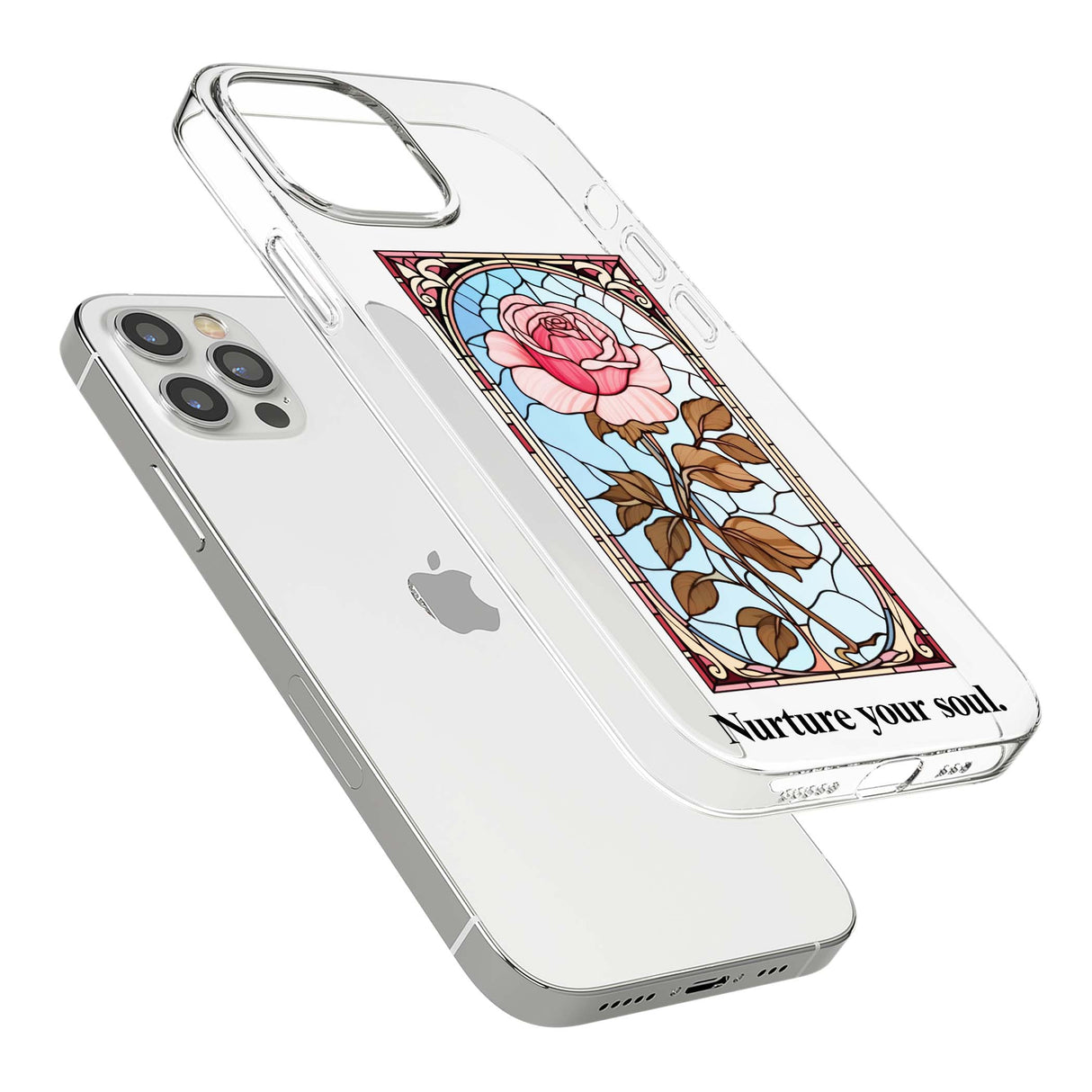CLEAR CASE