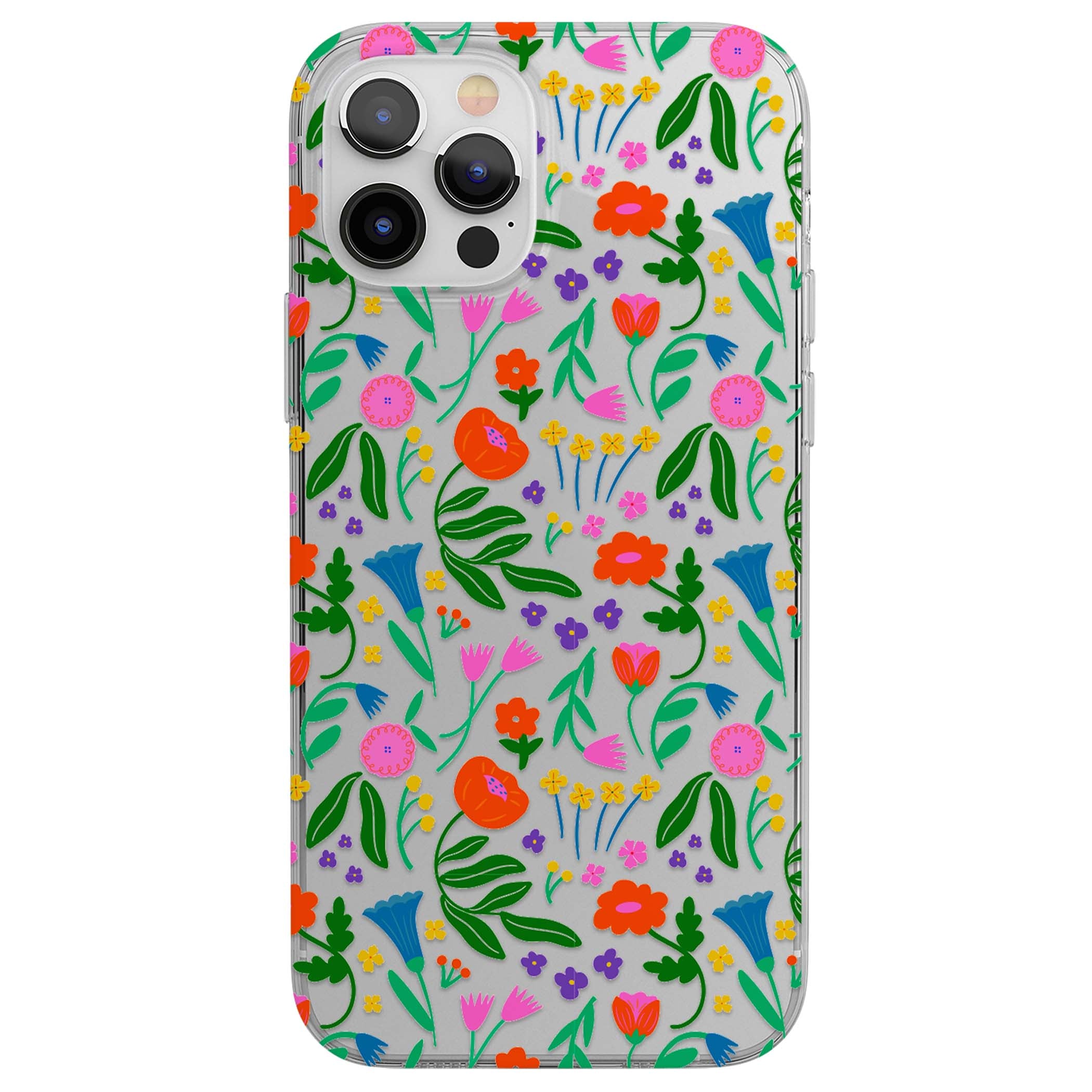 CLEAR CASE