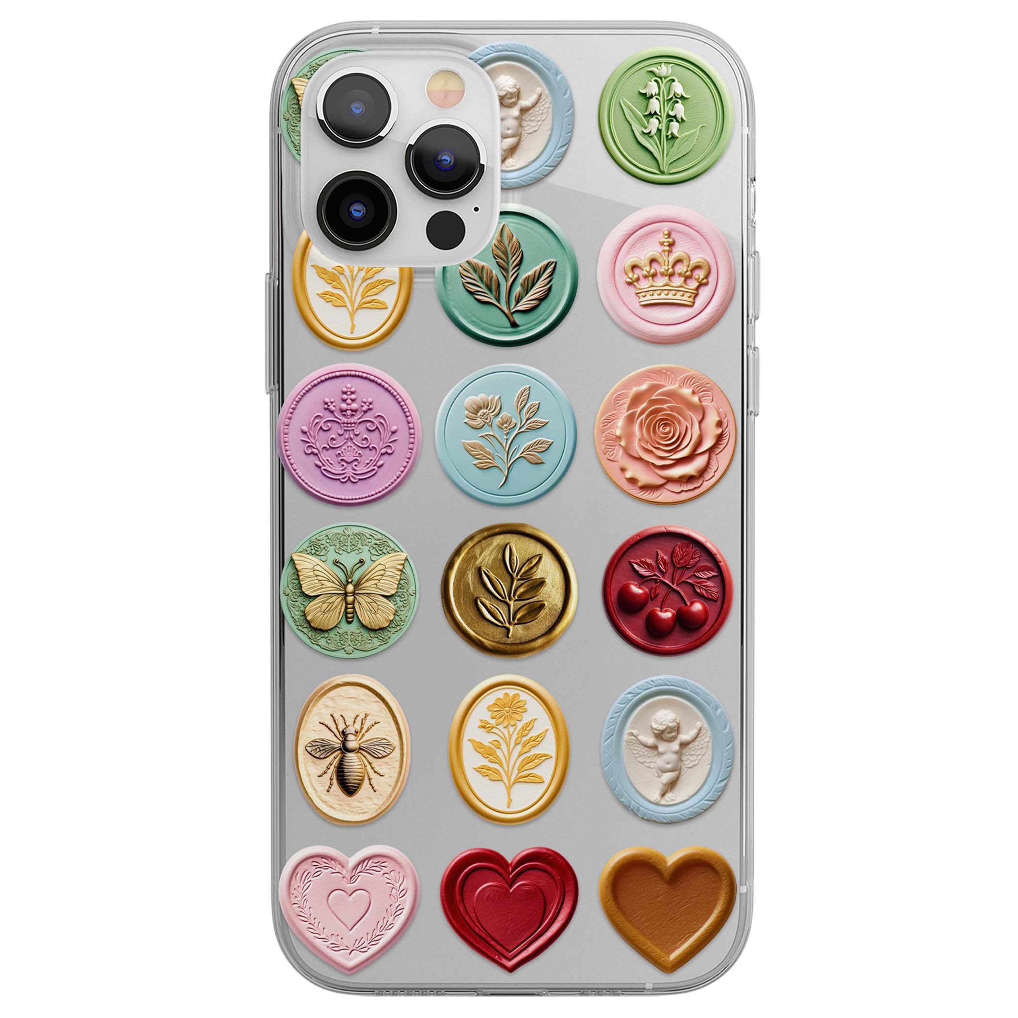 CLEAR CASE