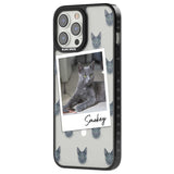 Personalised Korat Cat Photo Custom Phone Case iPhone 15 Pro Max / Black Impact Case,iPhone 15 Plus / Black Impact Case,iPhone 15 Pro / Black Impact Case,iPhone 15 / Black Impact Case,iPhone 15 Pro Max / Impact Case,iPhone 15 Plus / Impact Case,iPhone 15 Pro / Impact Case,iPhone 15 / Impact Case,iPhone 15 Pro Max / Magsafe Black Impact Case,iPhone 15 Plus / Magsafe Black Impact Case,iPhone 15 Pro / Magsafe Black Impact Case,iPhone 15 / Magsafe Black Impact Case,iPhone 14 Pro Max / Black Impact Case,iPhone 1