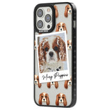 Personalised Cavalier King Charles - Dog Photo Custom Phone Case iPhone 15 Pro Max / Black Impact Case,iPhone 15 Plus / Black Impact Case,iPhone 15 Pro / Black Impact Case,iPhone 15 / Black Impact Case,iPhone 15 Pro Max / Impact Case,iPhone 15 Plus / Impact Case,iPhone 15 Pro / Impact Case,iPhone 15 / Impact Case,iPhone 15 Pro Max / Magsafe Black Impact Case,iPhone 15 Plus / Magsafe Black Impact Case,iPhone 15 Pro / Magsafe Black Impact Case,iPhone 15 / Magsafe Black Impact Case,iPhone 14 Pro Max / Black Im