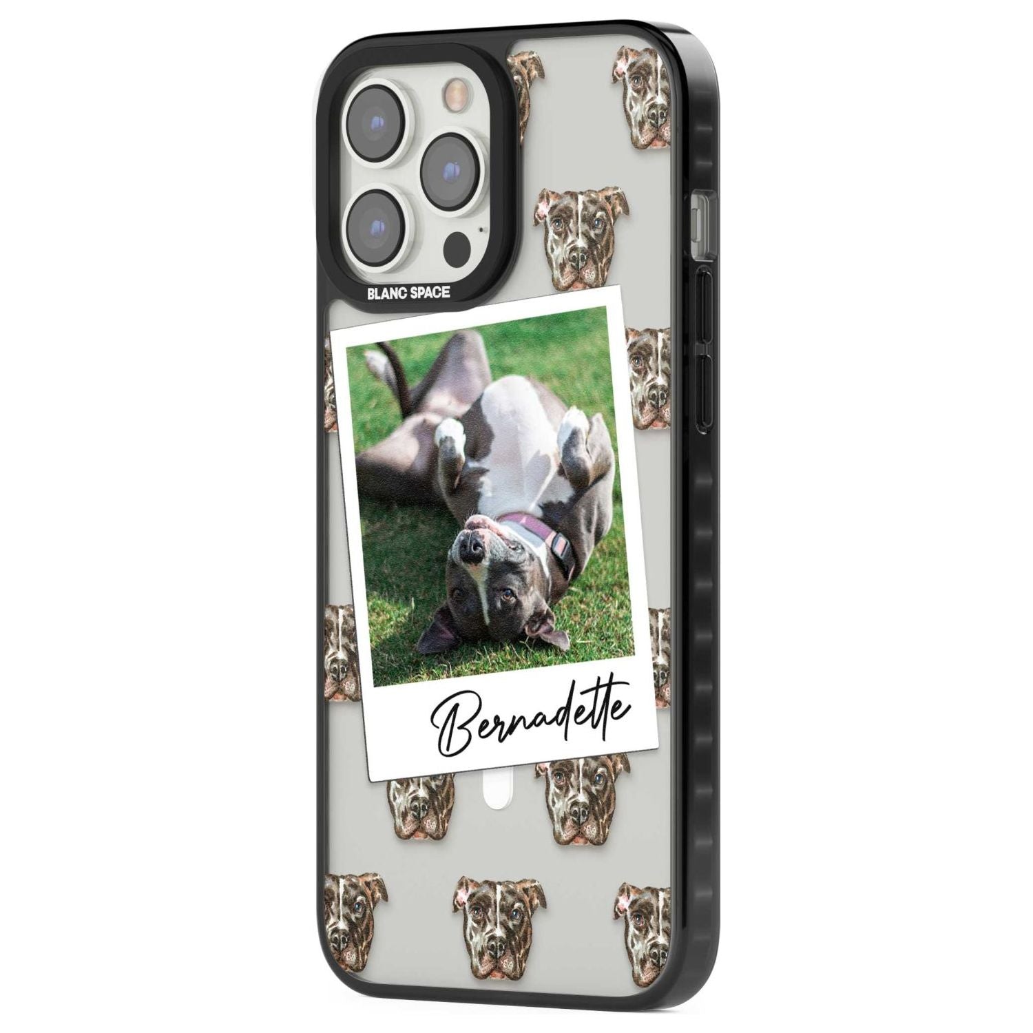 Personalised Staffordshire Bull Terrier - Dog Photo