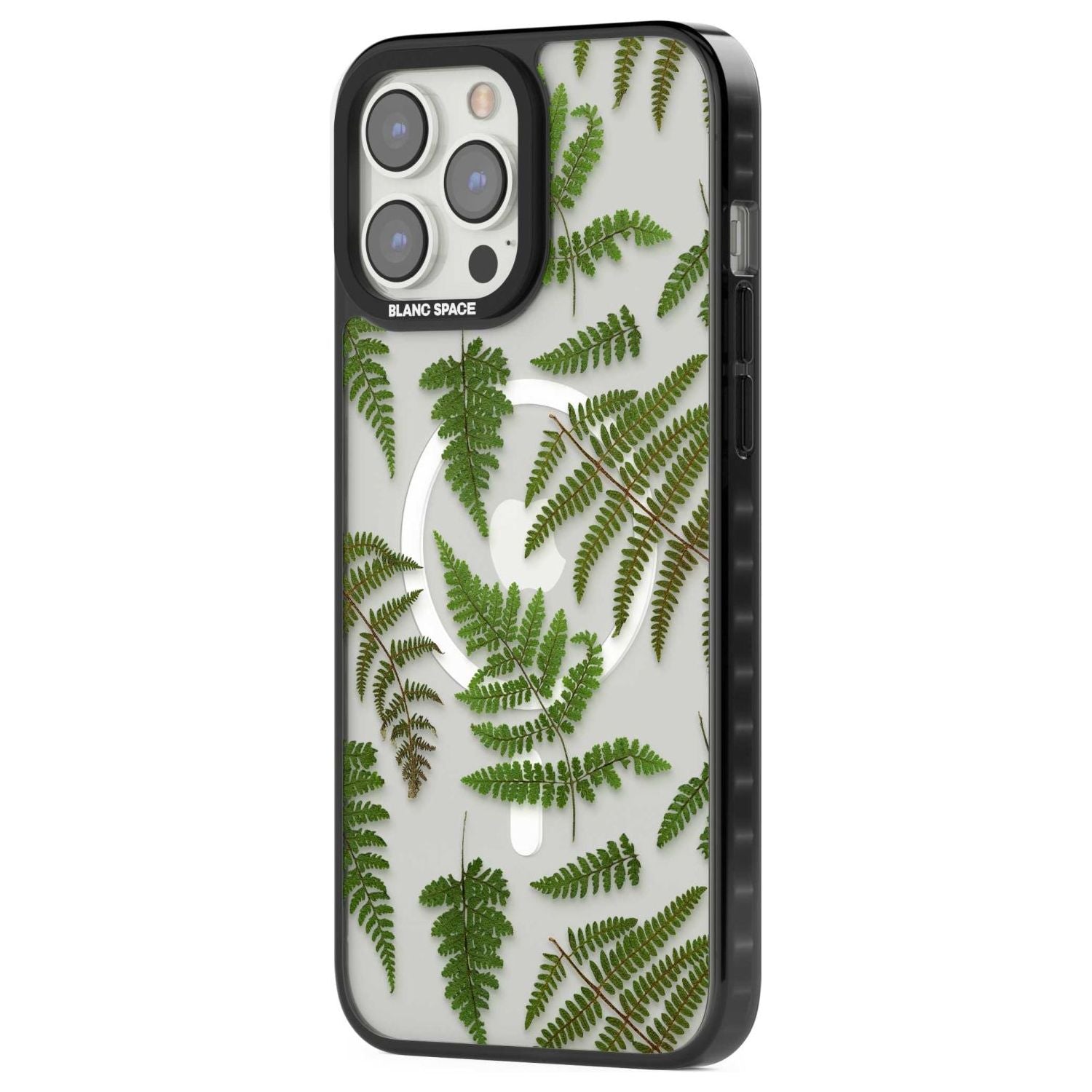 Leafy Ferns