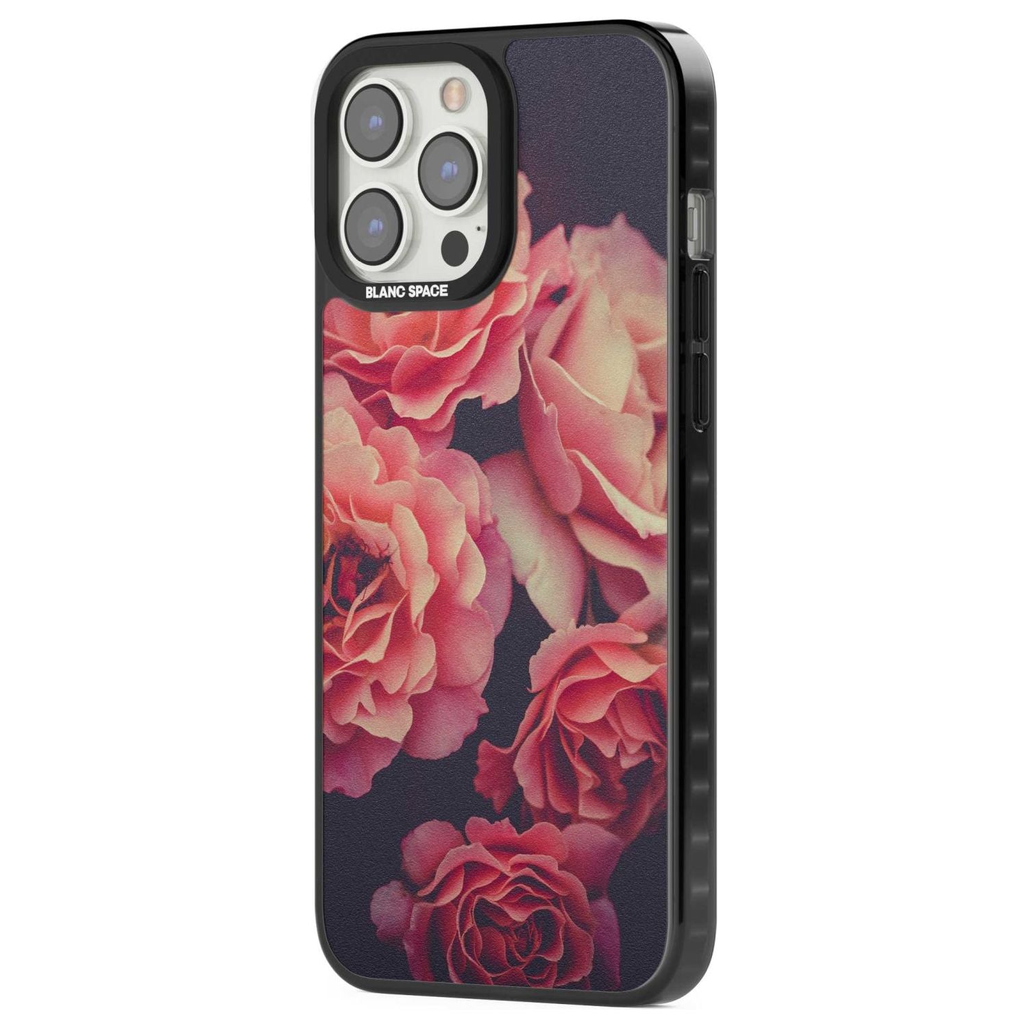 Midnight Rose Bloom