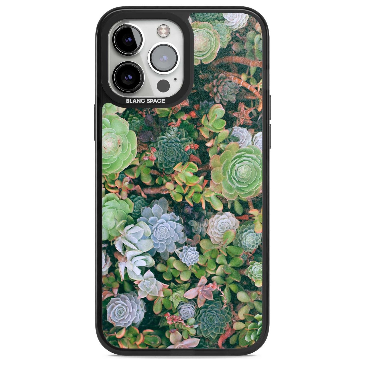 Colourful Succulents Phone Case iPhone 13 Pro Max / Magsafe Black Impact Case Blanc Space
