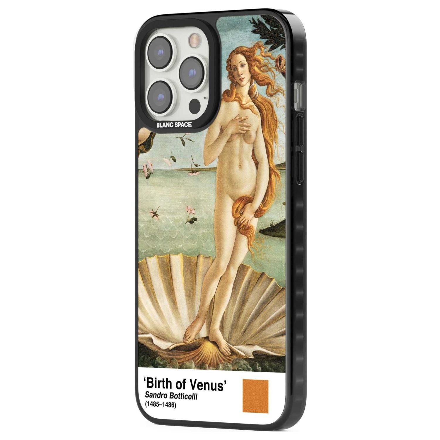 The Birth Of Venus