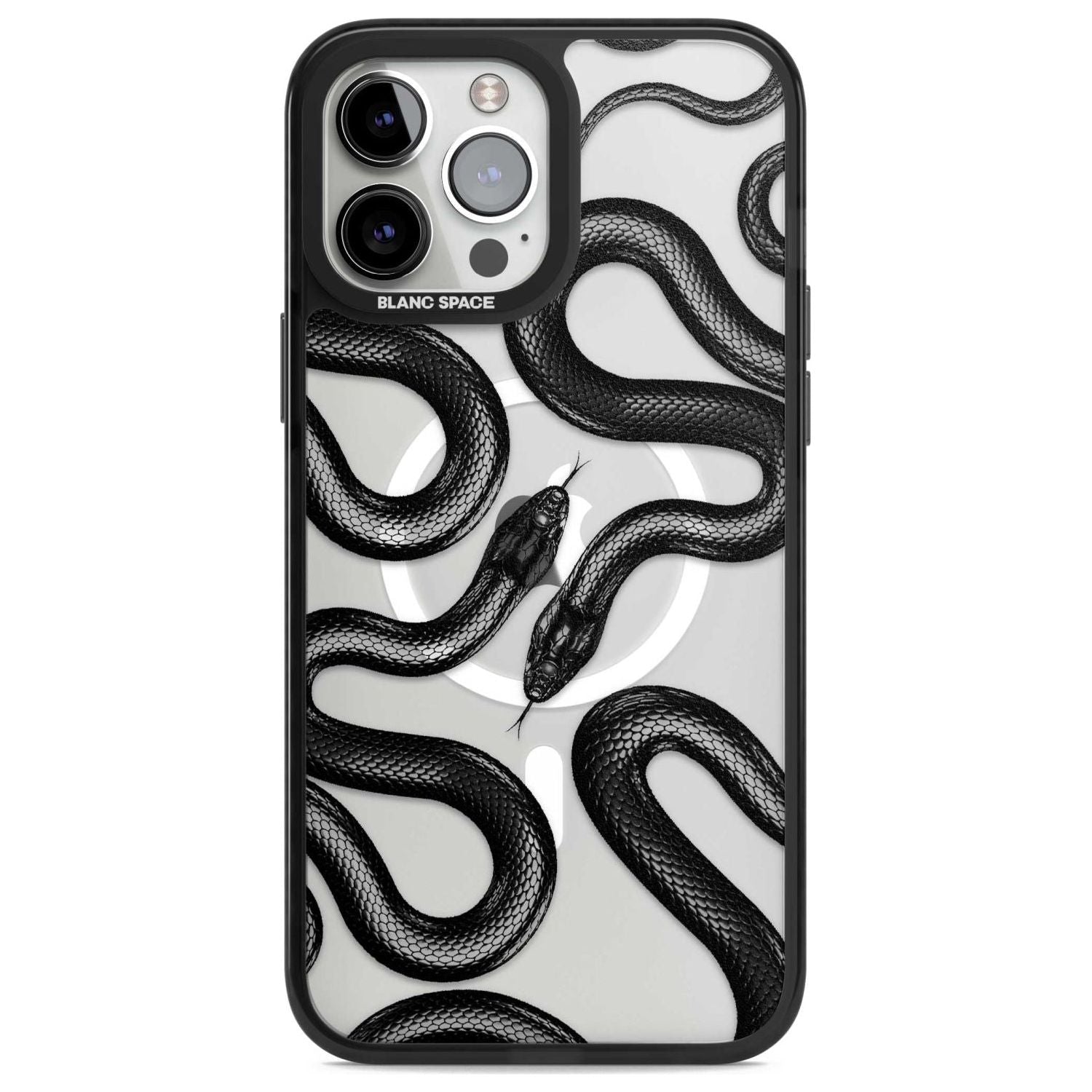 Black Kingsnake