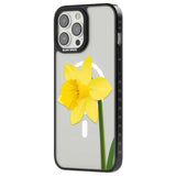 Daffodil Phone Case iPhone 15 Pro Max / Black Impact Case,iPhone 15 Plus / Black Impact Case,iPhone 15 Pro / Black Impact Case,iPhone 15 / Black Impact Case,iPhone 15 Pro Max / Impact Case,iPhone 15 Plus / Impact Case,iPhone 15 Pro / Impact Case,iPhone 15 / Impact Case,iPhone 15 Pro Max / Magsafe Black Impact Case,iPhone 15 Plus / Magsafe Black Impact Case,iPhone 15 Pro / Magsafe Black Impact Case,iPhone 15 / Magsafe Black Impact Case,iPhone 14 Pro Max / Black Impact Case,iPhone 14 Plus / Black Impact Case,