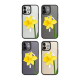 Daffodil Phone Case iPhone 15 Pro Max / Black Impact Case,iPhone 15 Plus / Black Impact Case,iPhone 15 Pro / Black Impact Case,iPhone 15 / Black Impact Case,iPhone 15 Pro Max / Impact Case,iPhone 15 Plus / Impact Case,iPhone 15 Pro / Impact Case,iPhone 15 / Impact Case,iPhone 15 Pro Max / Magsafe Black Impact Case,iPhone 15 Plus / Magsafe Black Impact Case,iPhone 15 Pro / Magsafe Black Impact Case,iPhone 15 / Magsafe Black Impact Case,iPhone 14 Pro Max / Black Impact Case,iPhone 14 Plus / Black Impact Case,