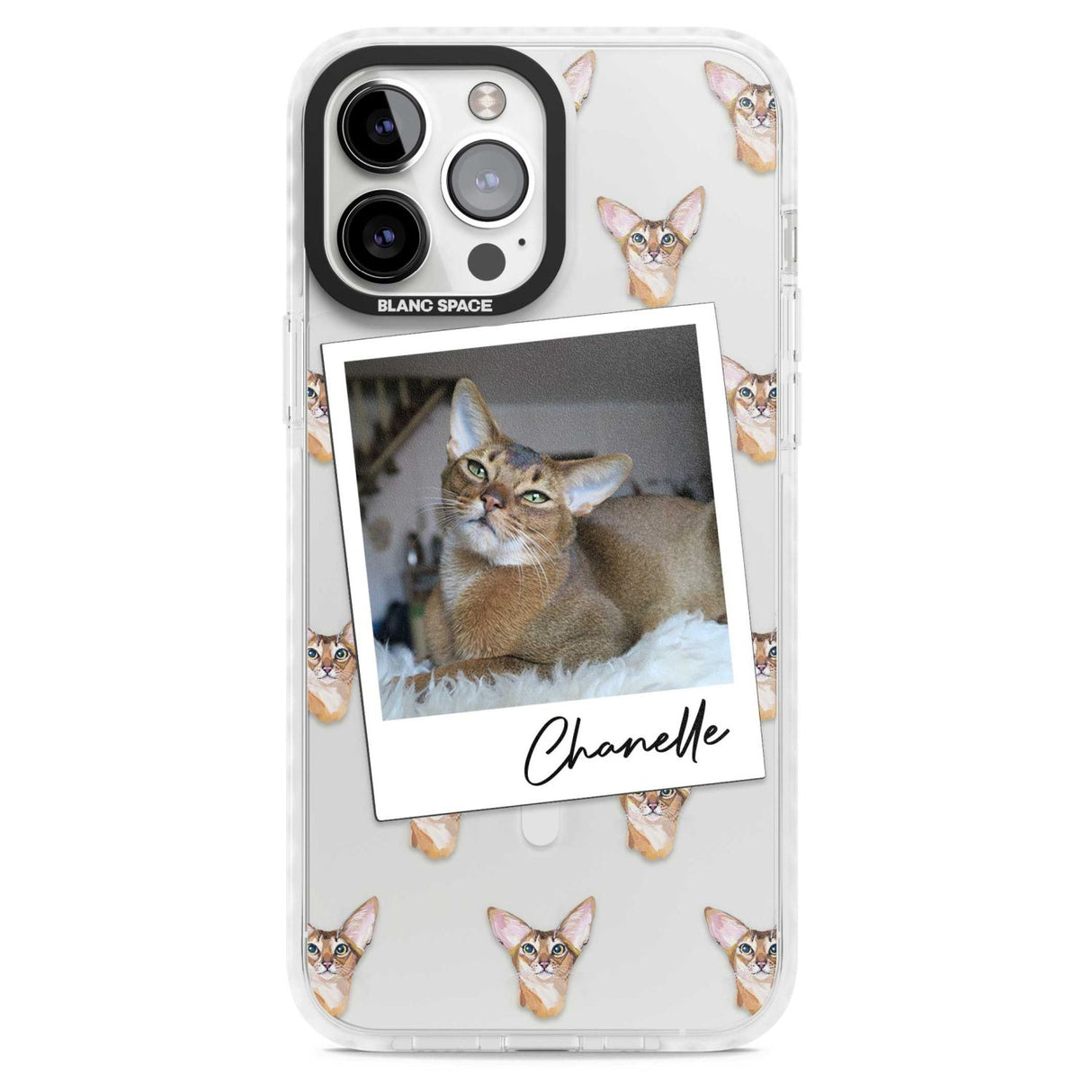 Personalised Abyssinian Cat Photo