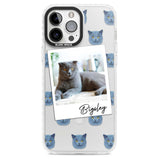 Personalised English Blue Cat Photo