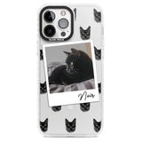 Personalised Bombay Cat Photo