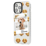 Personalised Labrador - Dog Photo