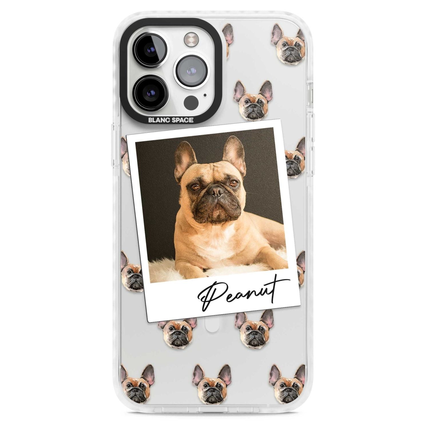 Personalised French Bulldog, Tan - Dog Photo
