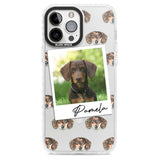 Personalised Dachshund, Brown - Dog Photo