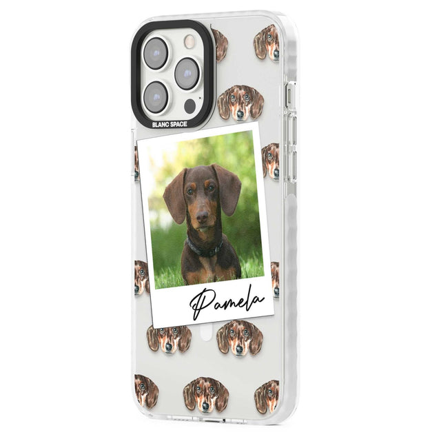 Personalised Dachshund, Brown - Dog Photo
