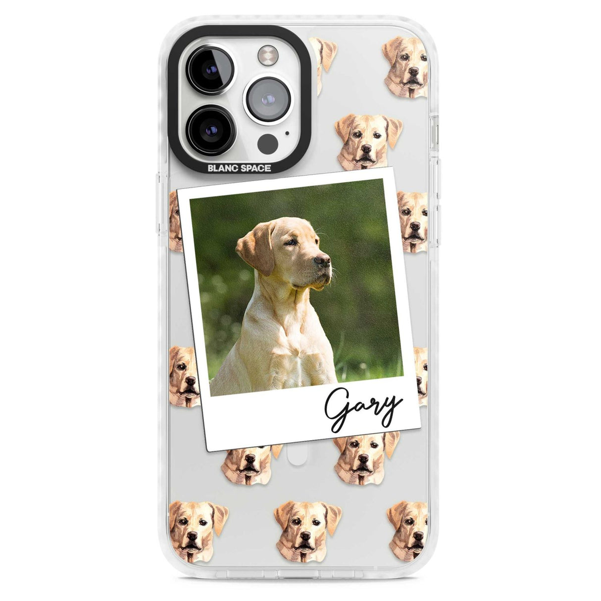 Personalised Labrador, Tan - Dog Photo