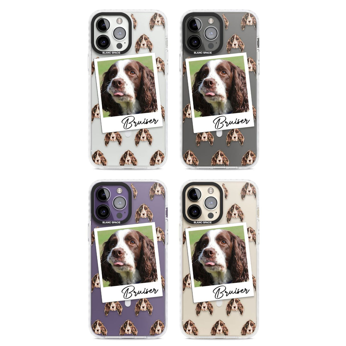 Personalised Springer Spaniel - Dog Photo